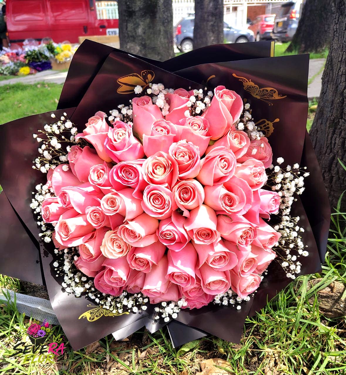 Severa Esfera: Esfera de rosas rosadas con gypsophila. Ramos y Buquets Severa Flor Bogotá